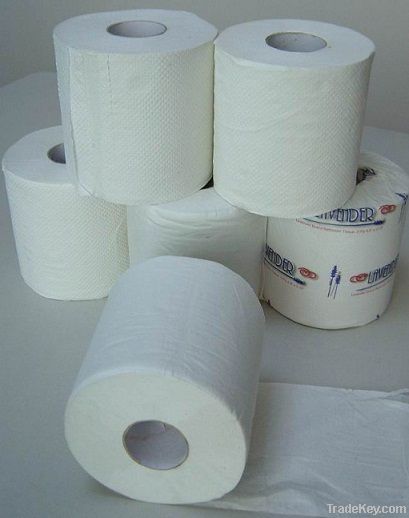 Toilet Tissue Rolls