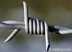 Barbed Wire