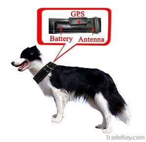 GPS Tracker