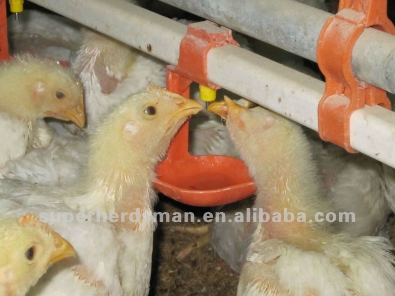 automatic nipple chicken drinker for broiler equipment