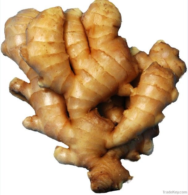 2012 Fresh Ginger, Customized Requirements are Accepted, No Insect Pes