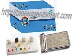 Tetracyclines (TCs) ELISA Test Kit, Food safty test