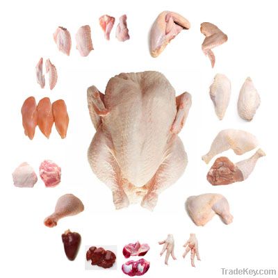 Chicken Parts & Whole Chicken Branded U-Globe