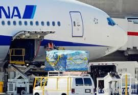 U-Globe Airfreight Services