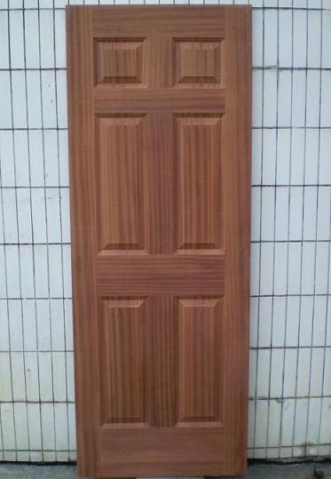 veneer door