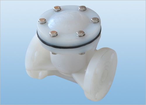 Swing check valve