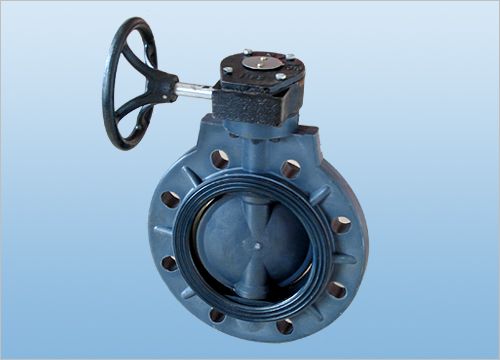 Worm-gear type butterfly valve