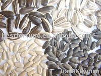 Confectionery Grade Sunflower Seed Kernels 