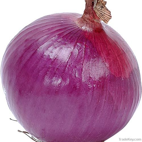 onion