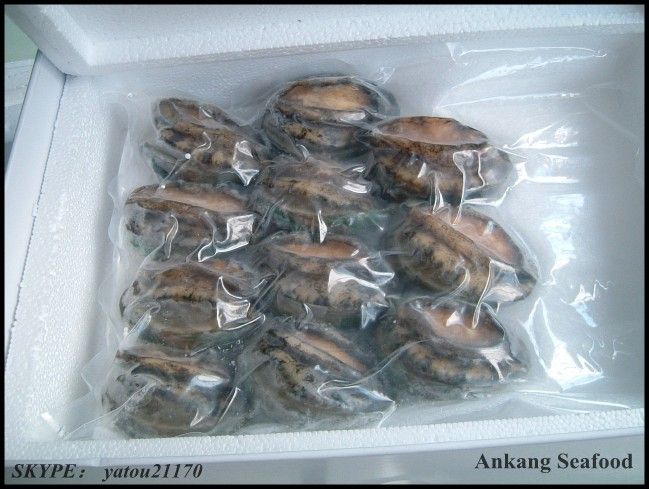 frozen abalone