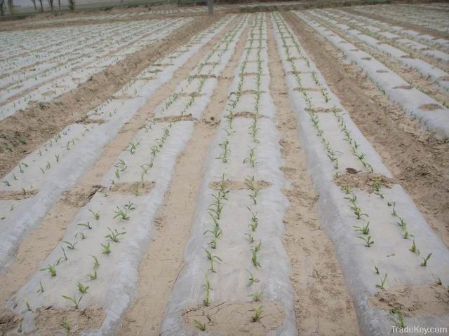 white Agricultural mulch film on roll