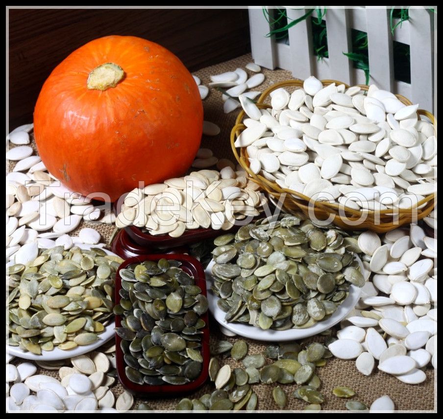 2017 Chinese Snow White Pumpkin Seeds , 11cm 13cm