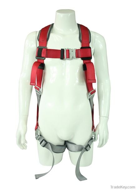 Full Body Harness with shock Absorbing Lanyards