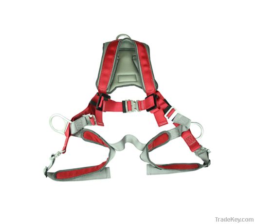 3 PT Full Body Harness with shock Absorbing Lanyards