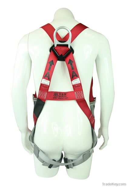 Full Body Relaxing Harness with Shock Absorbing Lanyards