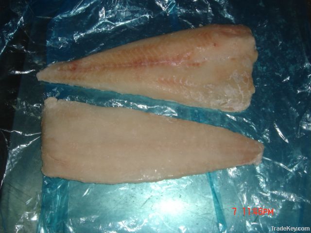 Frozen pollock Fillets