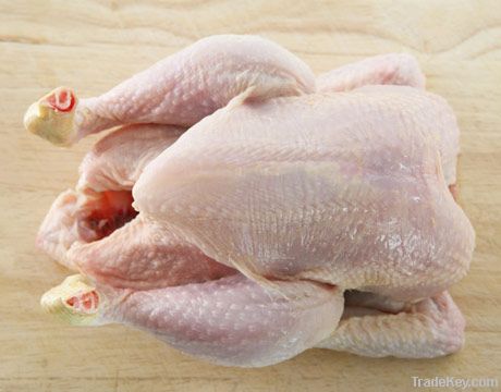 Export Chicken Meat | Chicken Meat Suppliers | Poultry Meat Exporters | Chicken Pieces Traders | Processed Chicken Meat Buyers | Frozen Poultry Meat Wholesalers | Halal Chicken | Low Price Freeze Chicken Wings | Best Buy Chicken Parts | Buy Chicken Meat |