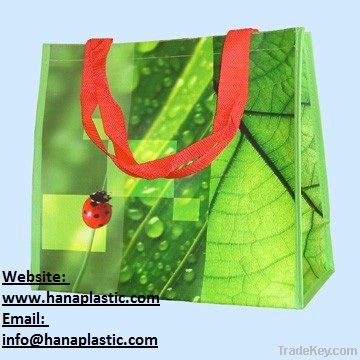 Luxurious handle bag