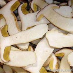 Boletus Edulis elite quality sliced wild frozen