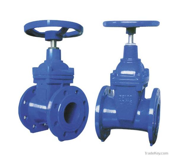 Gate Valve