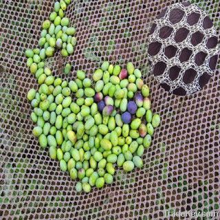 high quality anti olive net