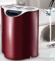 Raja Water Ionizer