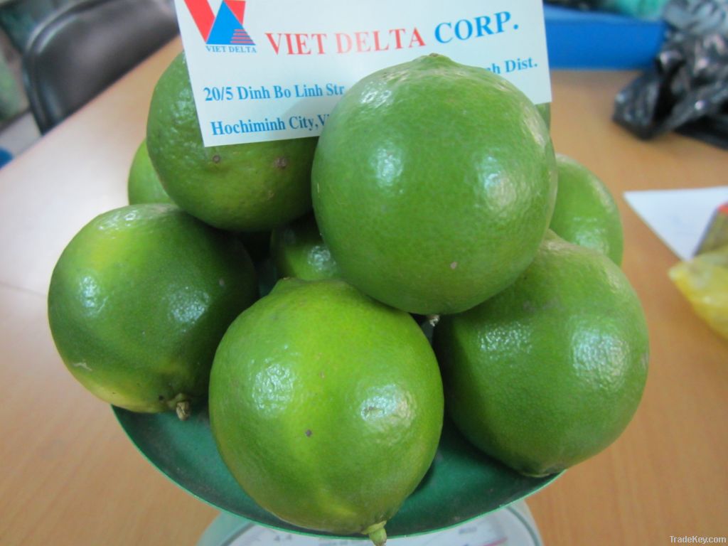 FRESH LIME SEEDLESS