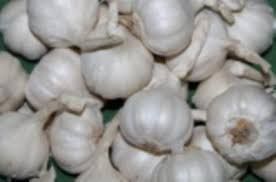 FRESH VIET NAM GARLIC