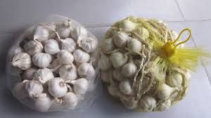 FRESH VIET NAM GARLIC