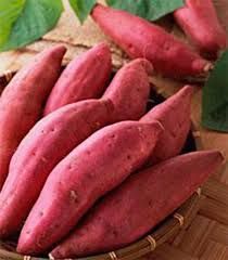 FRESH JAPANESE SWEET POTATO