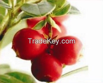 Camu camu extract Vitamin C 20%