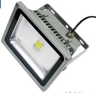 LED Flood Light (COB)