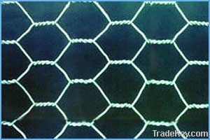 Hexagonal Wire Netting