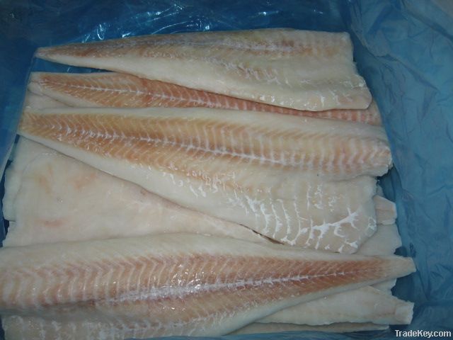 Atlantic Cod Fillet