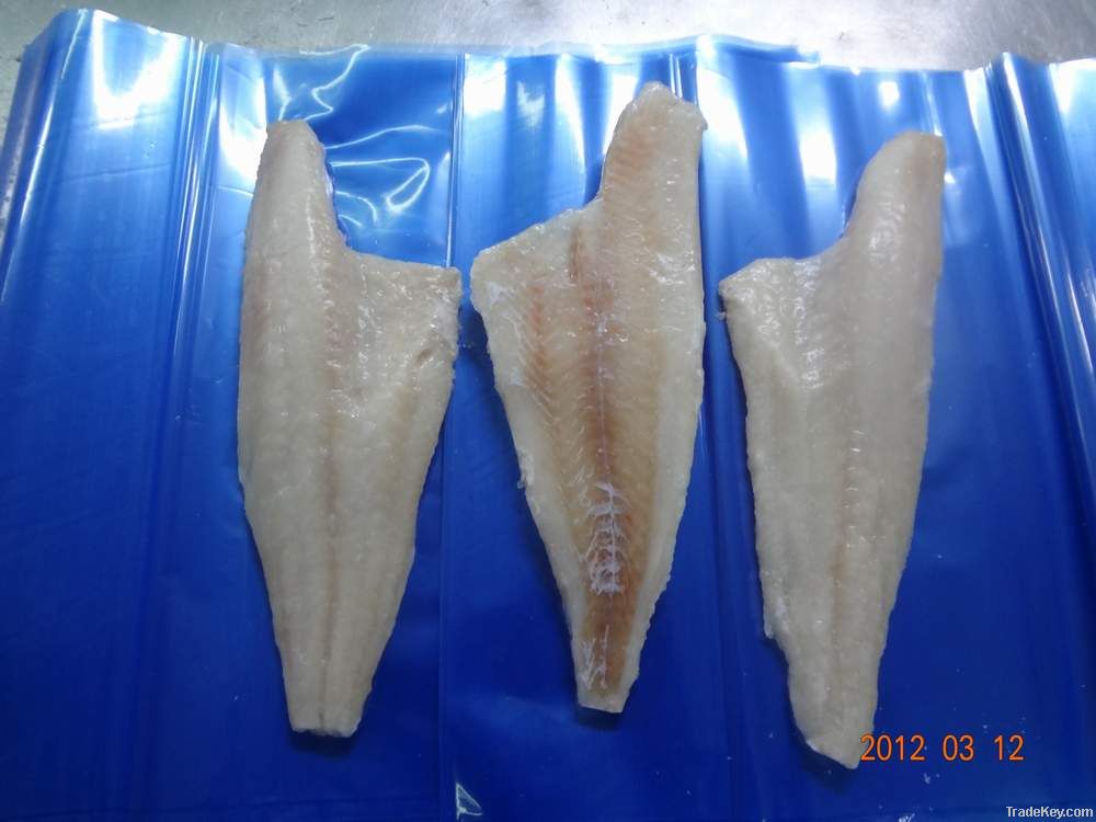 Haddock Fillets