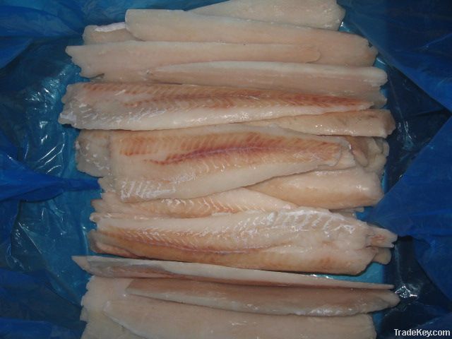 Pollock Fillets