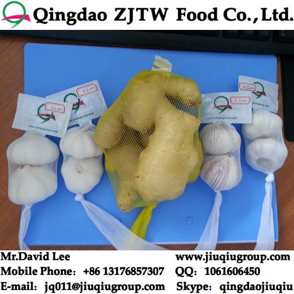 China Pure White Garlic In 30LB/Carton 