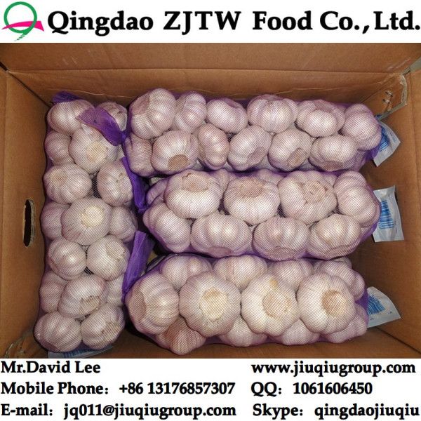 China Pure White Garlic In 30LB/Carton 