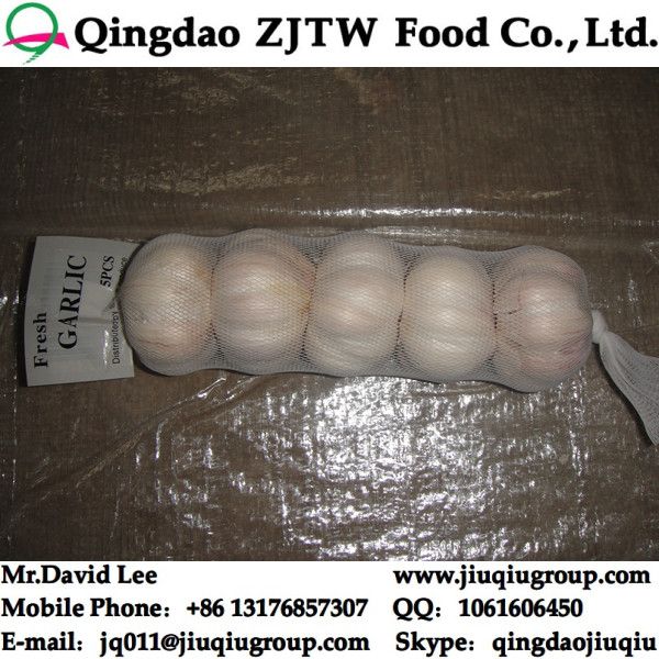 China Pure White Garlic In 30LB/Carton 