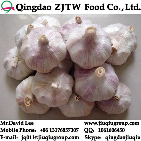 China Pure White Garlic In 30LB/Carton 