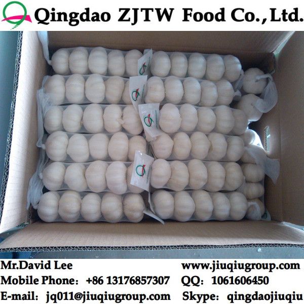 Fresh Garlic 5.5CM For USA Market, Purple Garlic &amp; White Garlic 5PCS