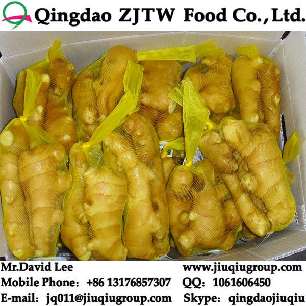 China Fresh Ginger Price