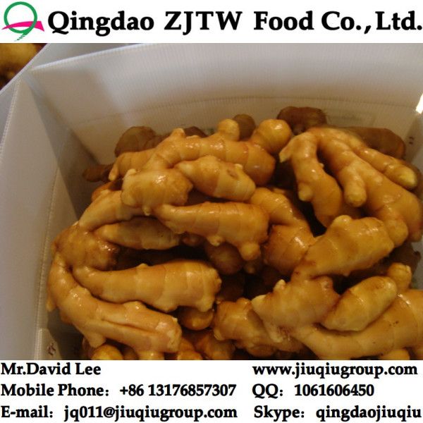 China Fresh Ginger Price