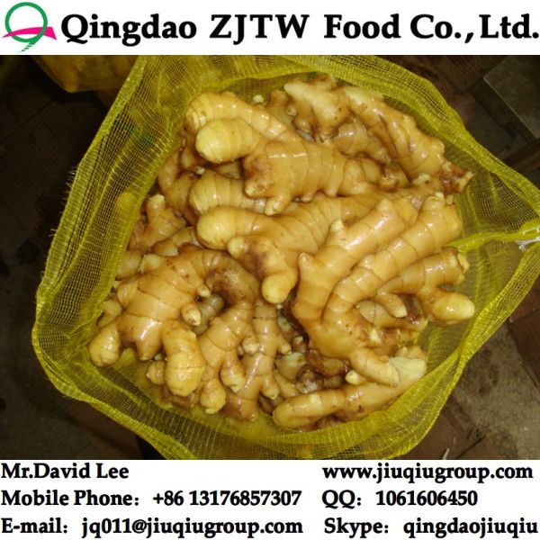 China Fresh Ginger Price