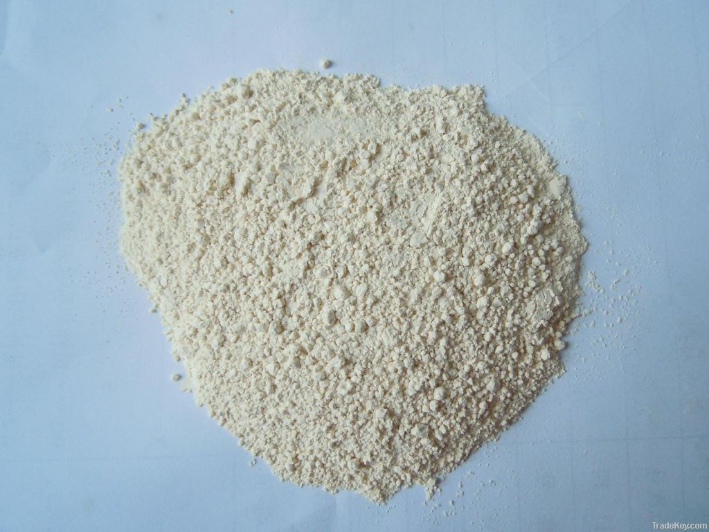 Dehydrated Garlic Powder