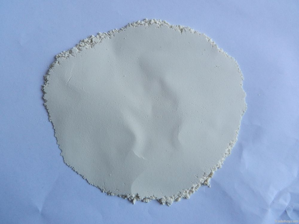 Dehydrated Onion Powder