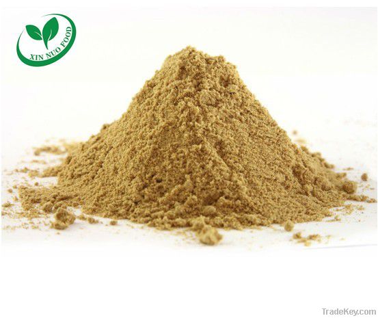 Dehydrated Ginger Powder