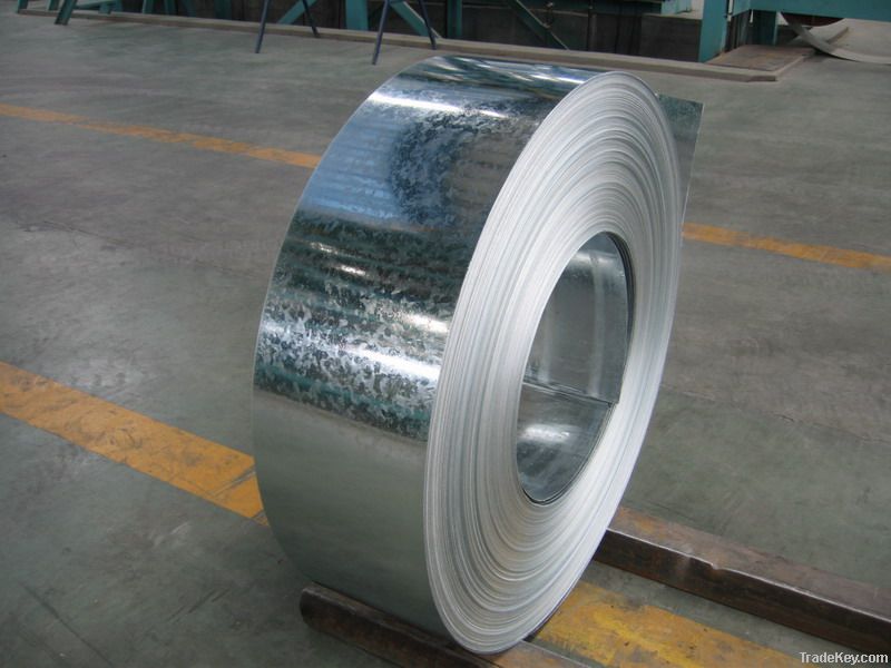 GI / Galvanized Steel Coils