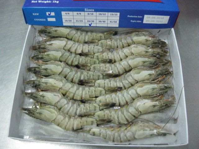 FROZEN RAW BLACK TIGER SHRIMPS HOSO, SEMI-IQF, 100% NET WEIGHT, REAL COUNT