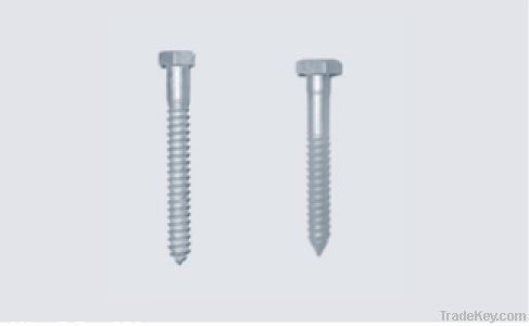 Galvanized carriage bolt